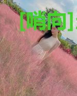 [哨向]当技术宅被逼婚