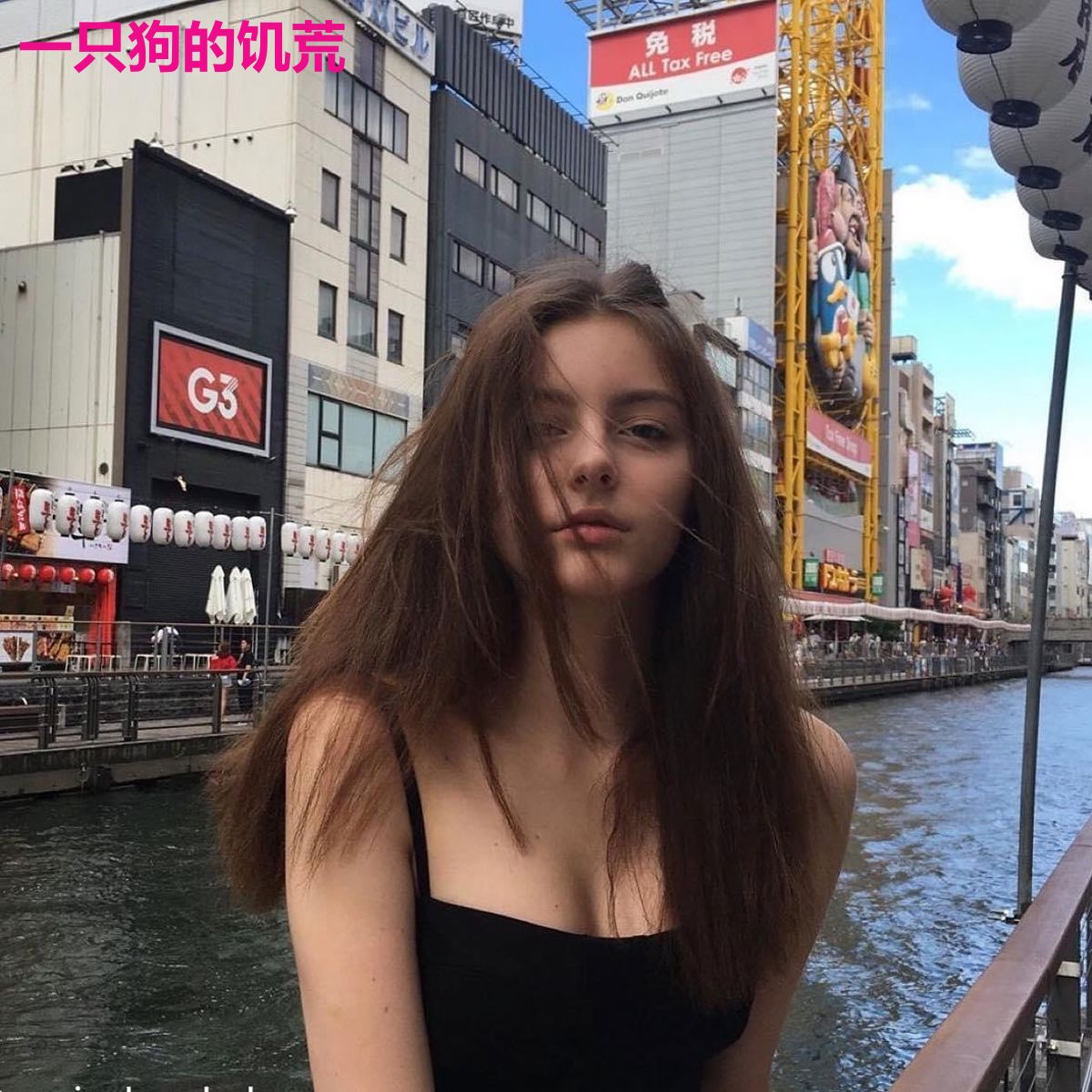 一只狗的饥荒
