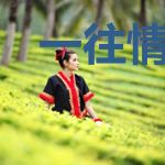 一往情深：妈咪超厉害