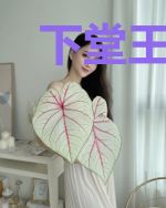 下堂王妃的翻身手册