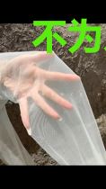 不为人知的元素使