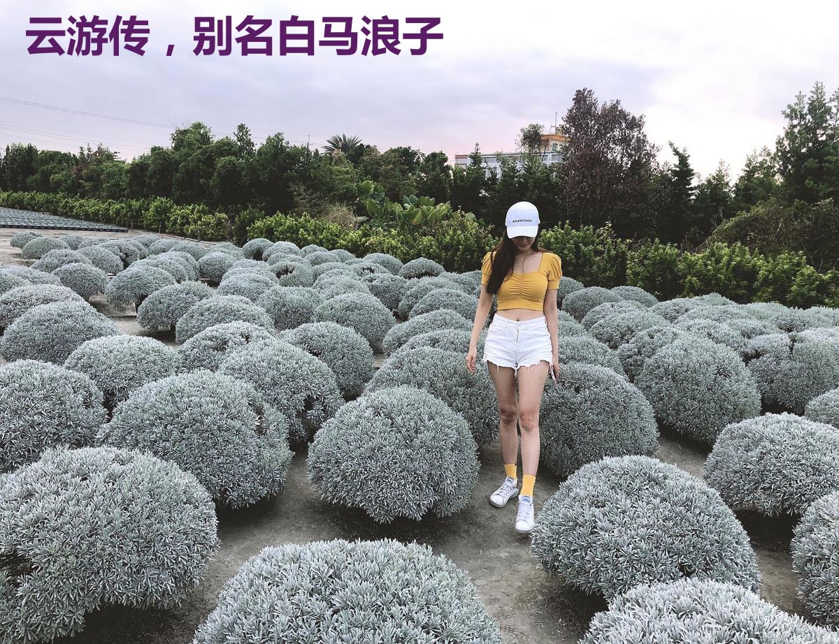 云游传，别名白马浪子