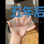 五年后她带着缩小版霸总飒爆全球