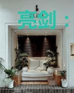 亮剑：老李是我叔