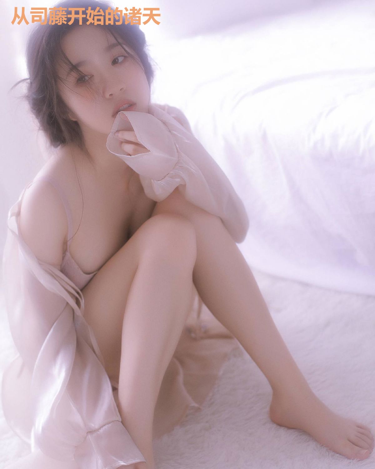 从司藤开始的诸天