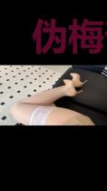 伪梅普露版防御系统
