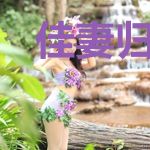 佳妻归来：先生请自重林念初