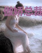 傲娇总裁追妻记