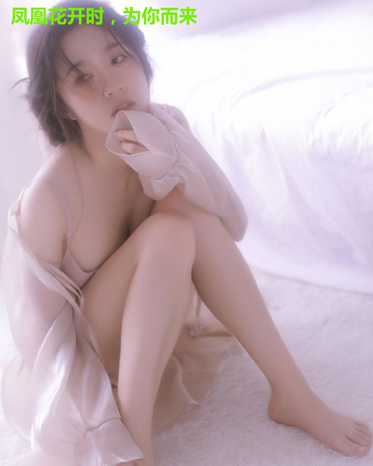 凤凰花开时，为你而来