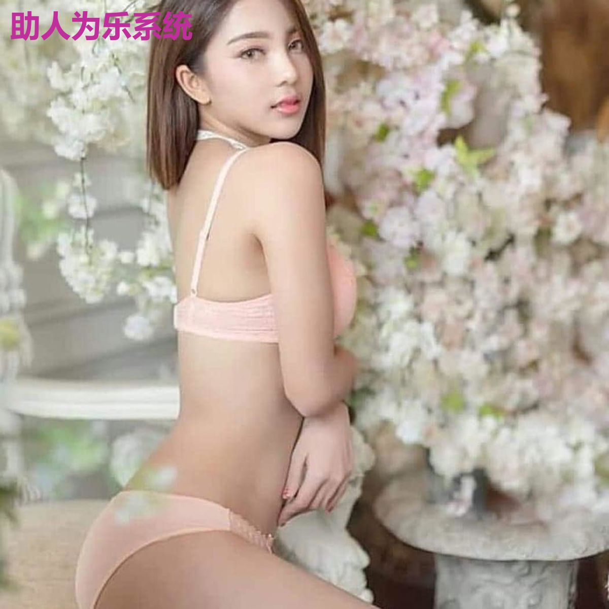 助人为乐系统