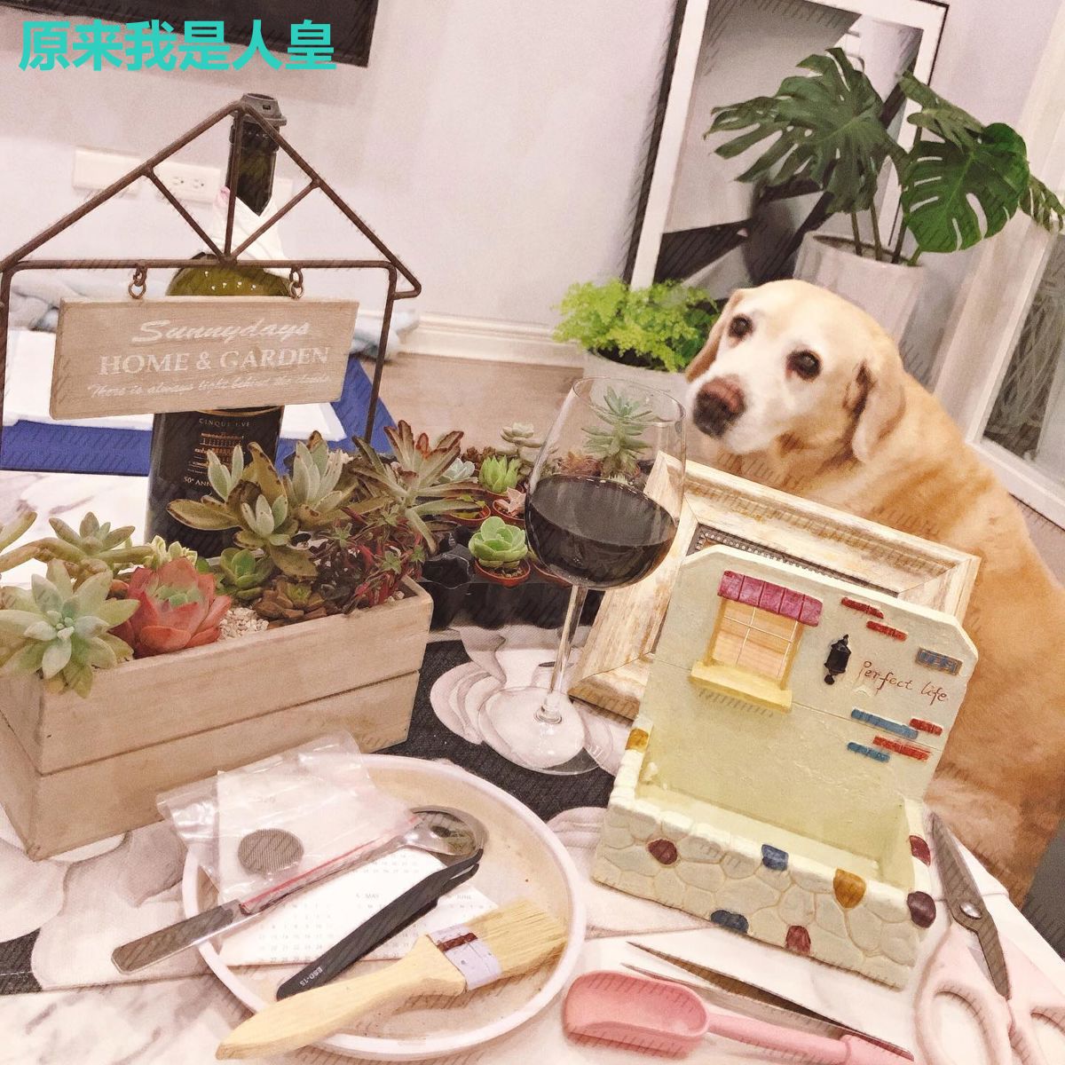 原来我是人皇