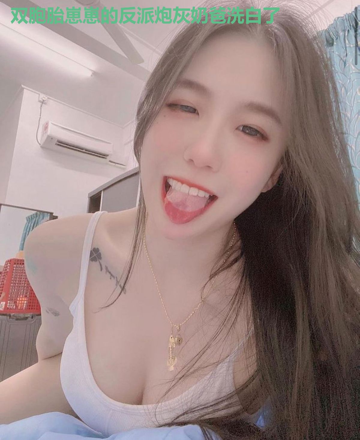 双胞胎崽崽的反派炮灰奶爸洗白了
