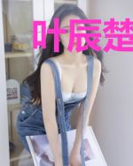 叶辰楚灵儿