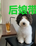 后娘带崽逃荒忙，手携物资心不慌