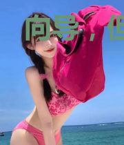 向导，但战力最强[GB]