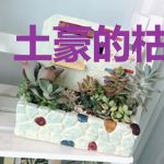 土豪的枯燥生活