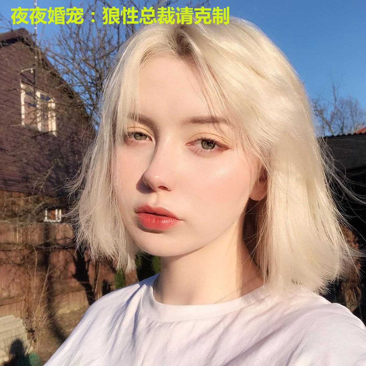 夜夜婚宠：狼性总裁请克制