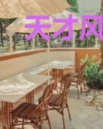 天才风水师