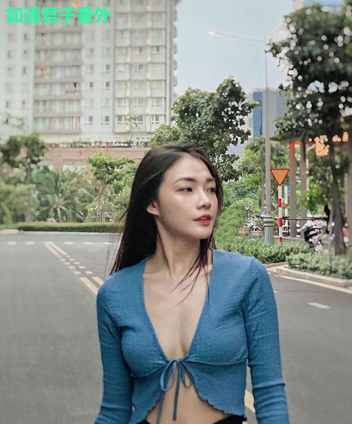 如遇君子番外