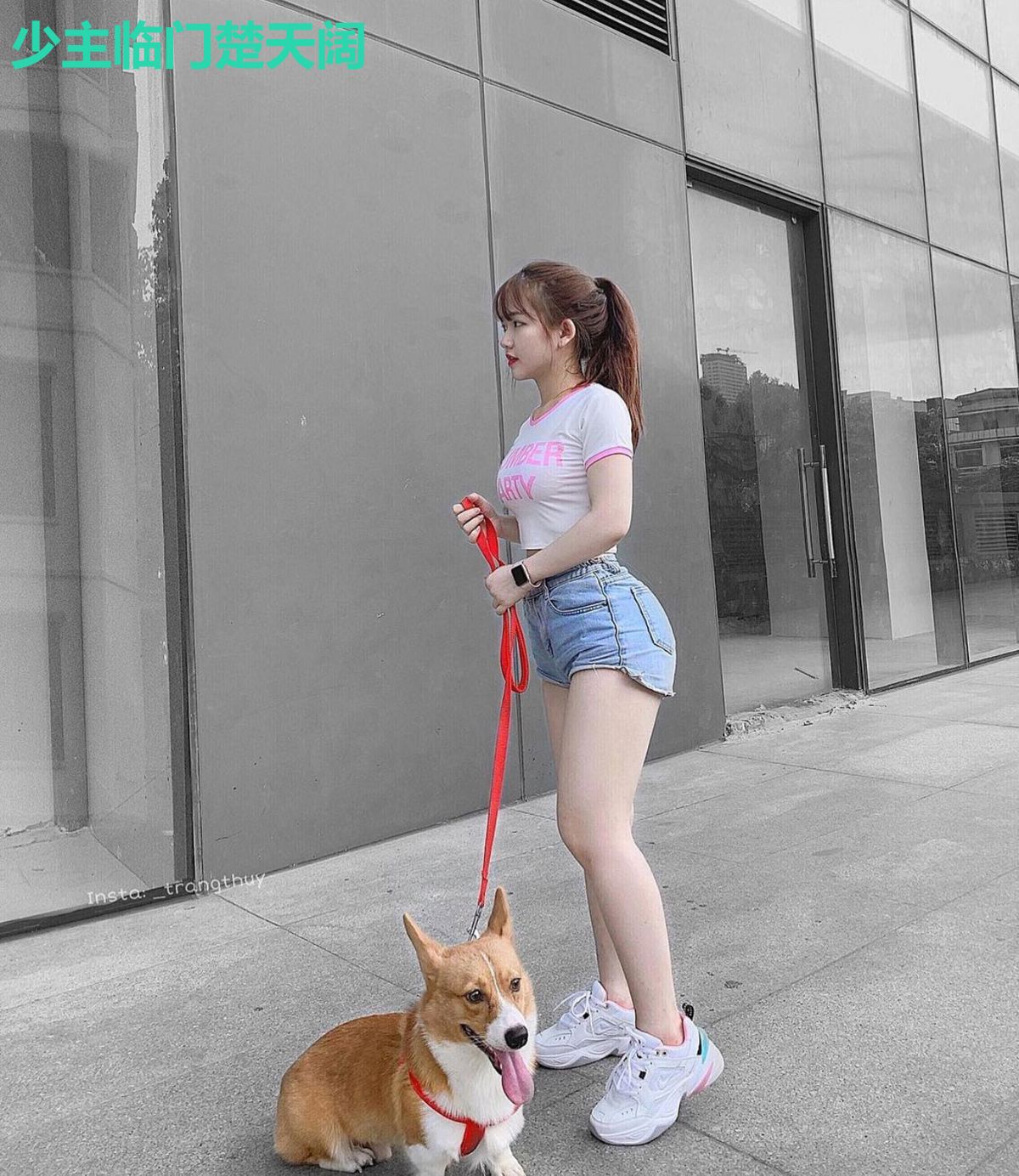 少主临门楚天阔