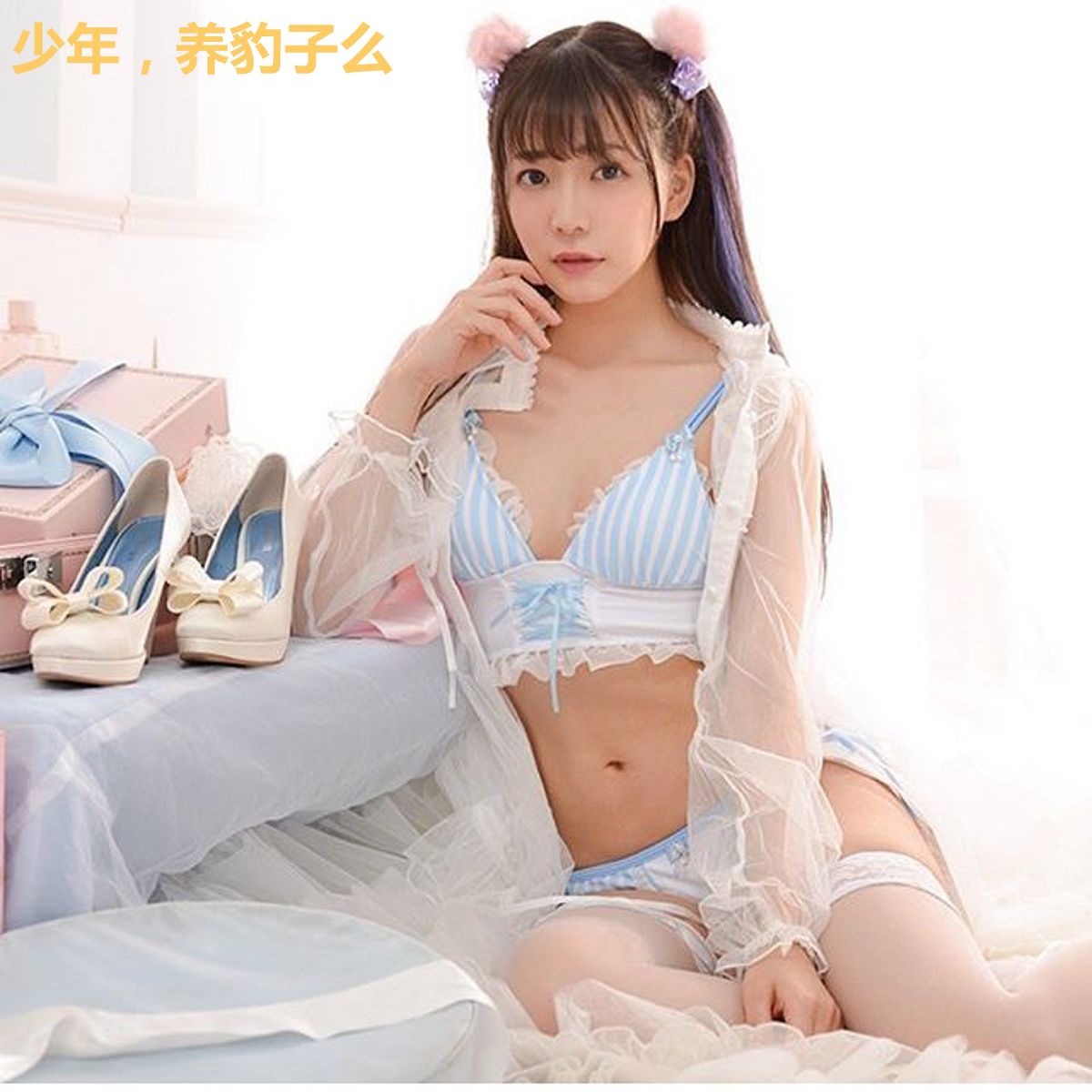 少年，养豹子么