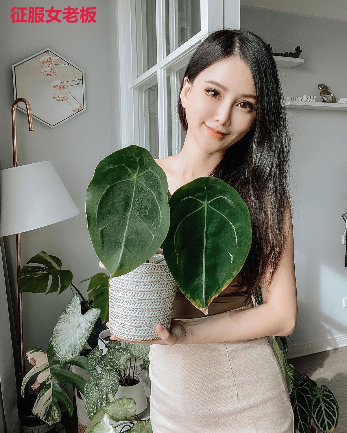 征服女老板