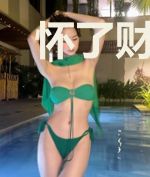 怀了财阀上司的崽，我开挂躺赢安琪
