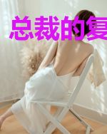 总裁的复仇妻子