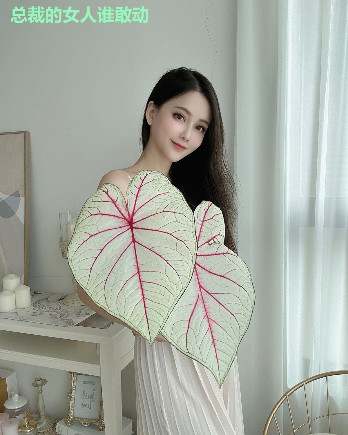 总裁的女人谁敢动