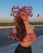总裁，你夫人把你给踹了
