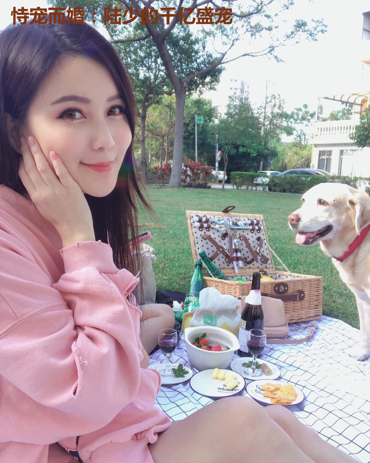恃宠而婚：陆少的千亿盛宠