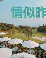 情似昨夜星辰容音