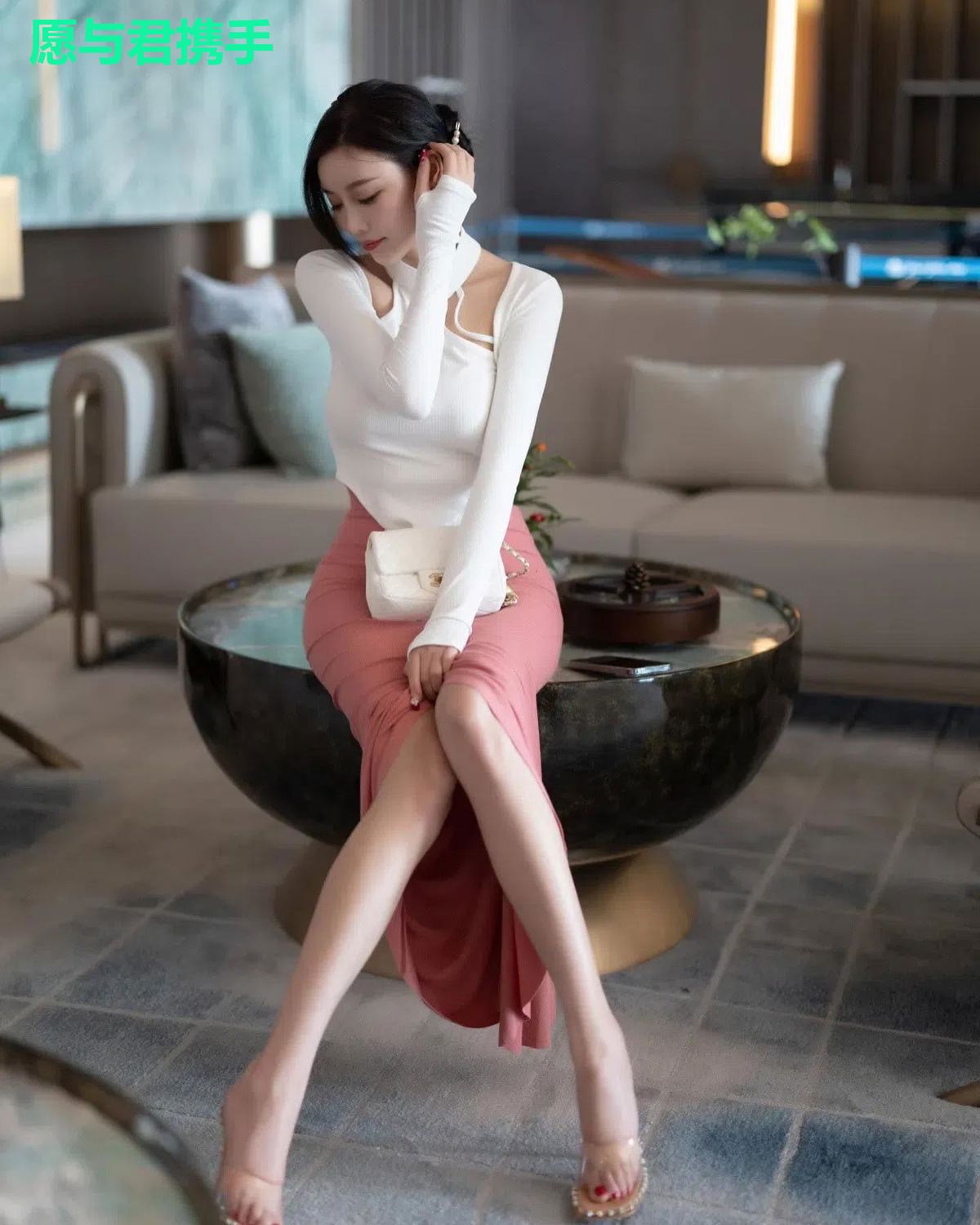 愿与君携手