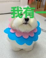 我有一家地下博物馆