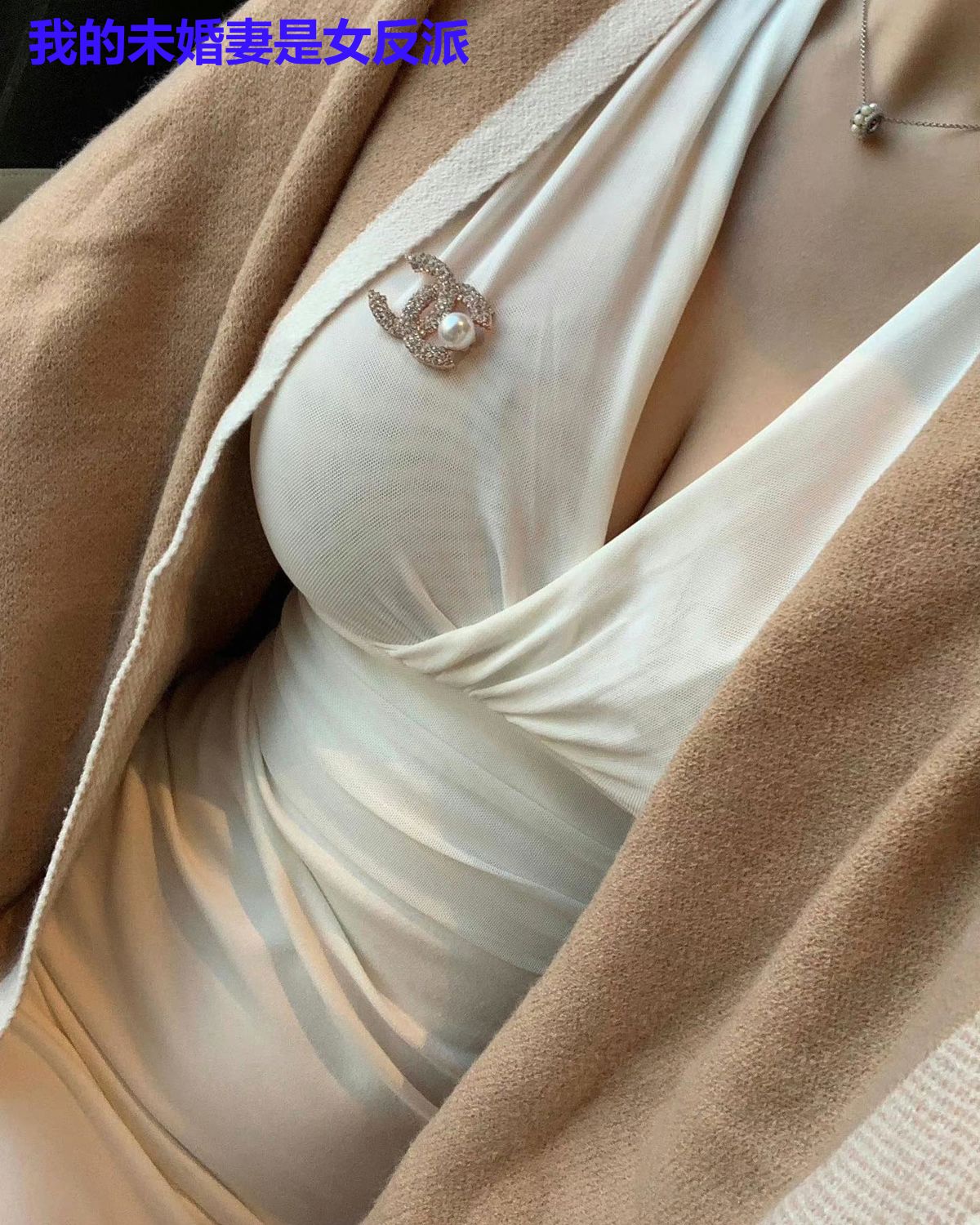 我的未婚妻是女反派