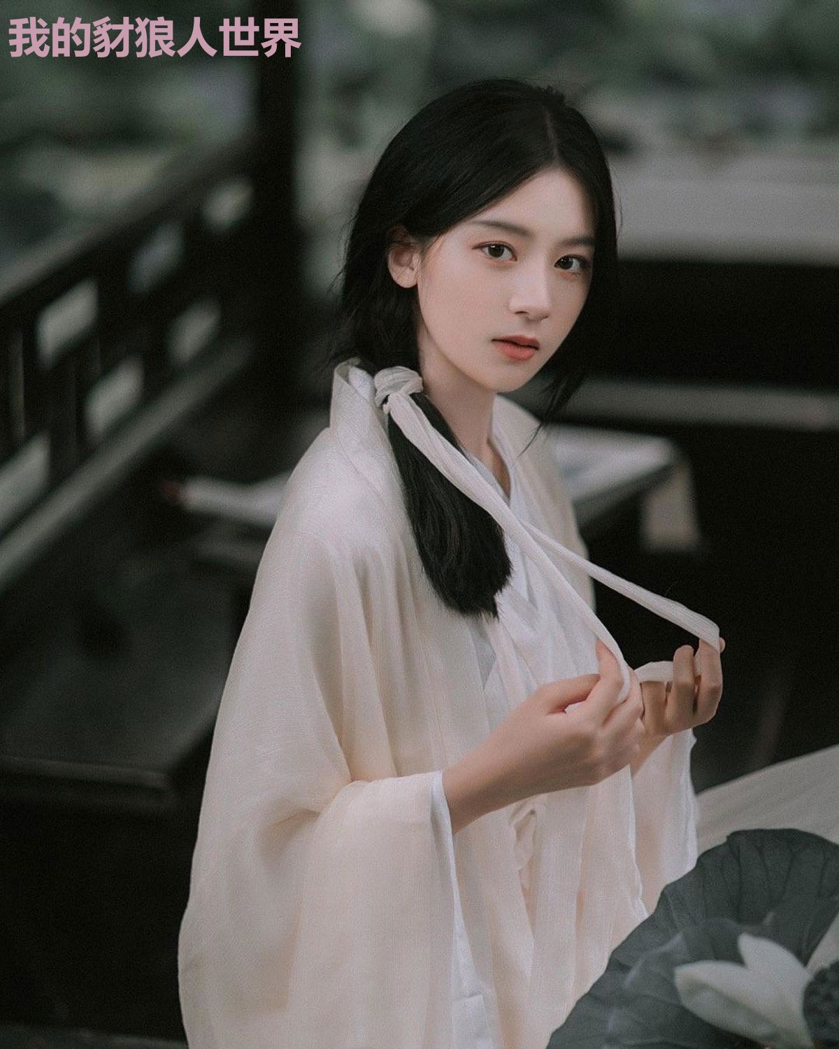 我的豺狼人世界