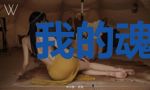 我的魂卡有点特别
