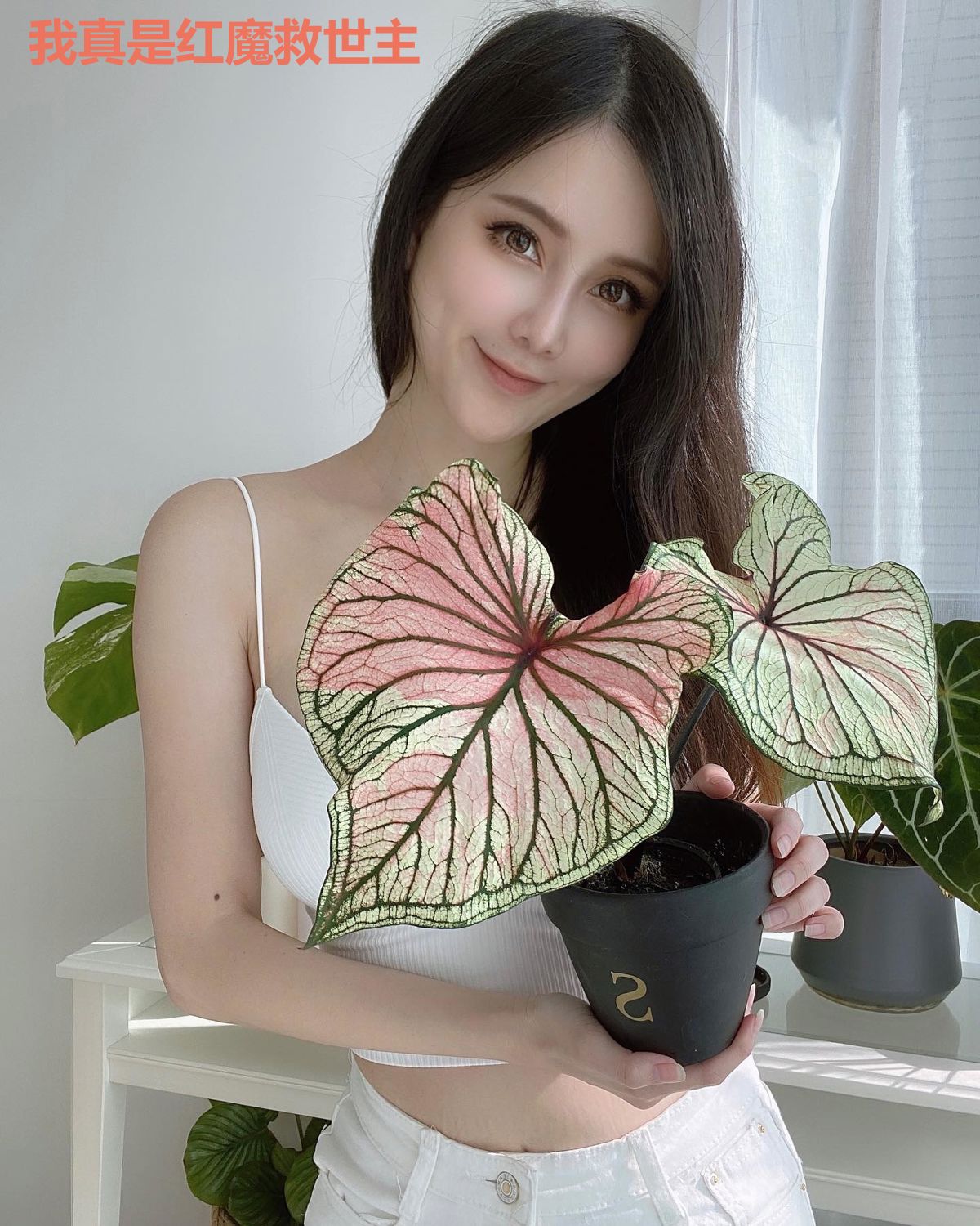 我真是红魔救世主