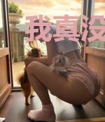 我真没吃软饭楚凡