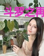 斗罗之再创天庭