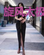 旋风太极李二海