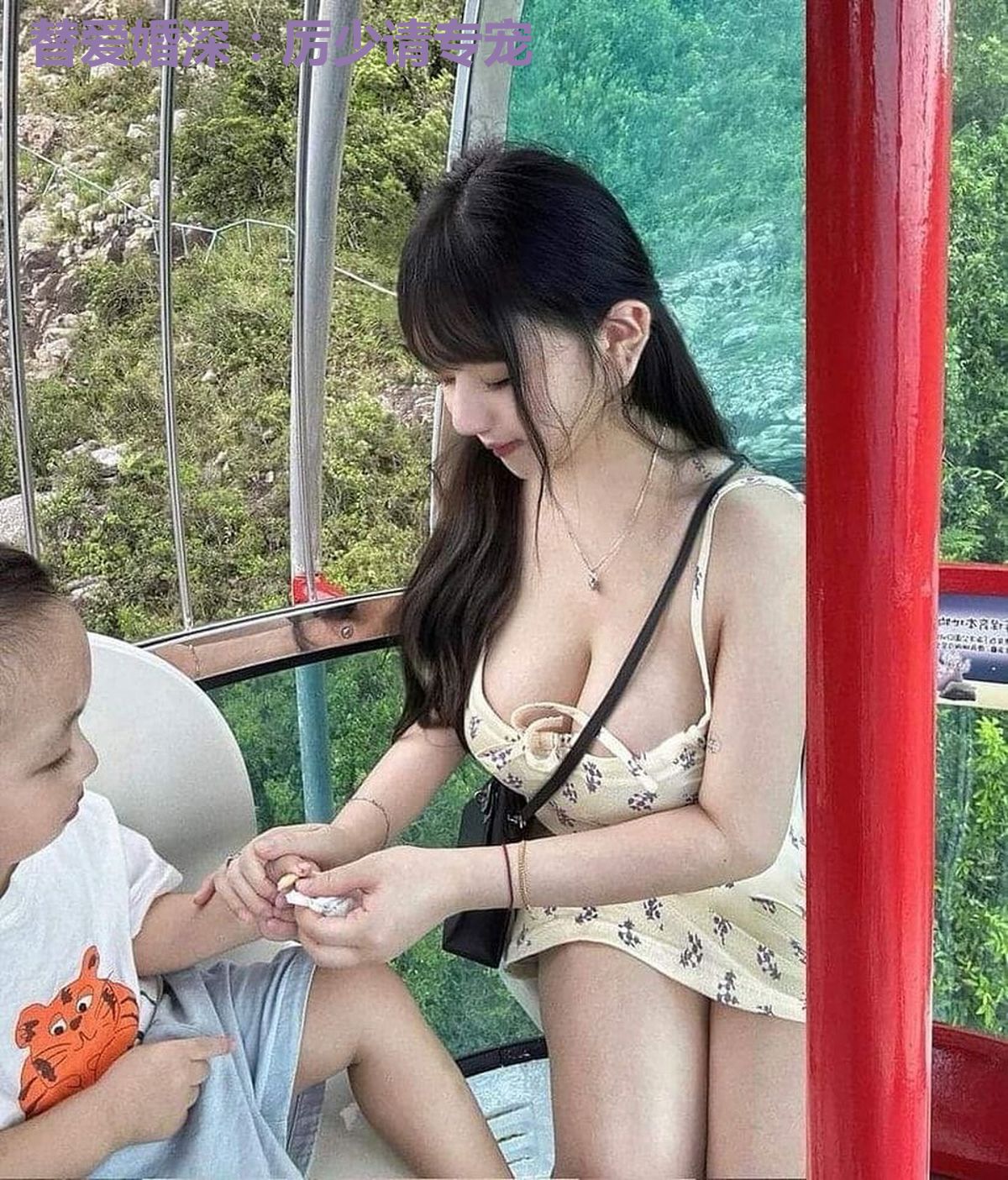 替爱婚深：厉少请专宠