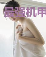 最强机甲制造师