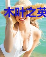 木叶之英雄召唤