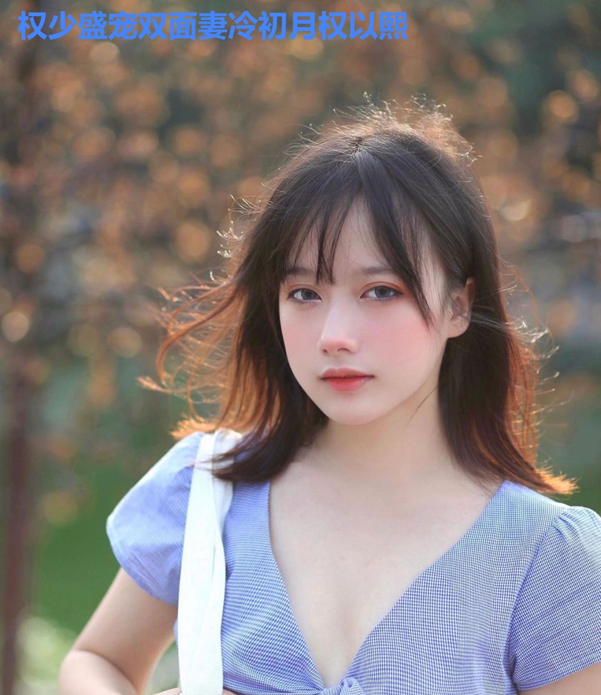 权少盛宠双面妻冷初月权以熙