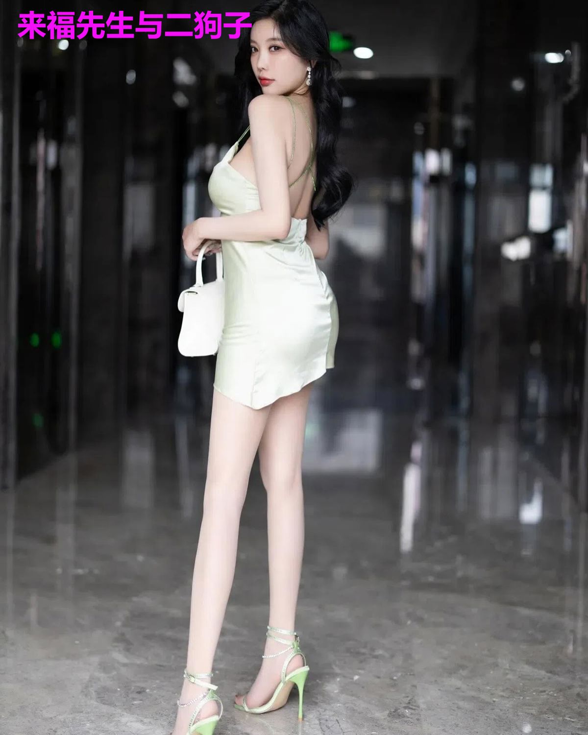 来福先生与二狗子