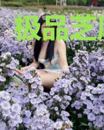 极品芝麻县令