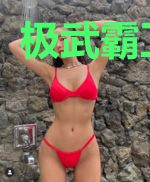 极武霸卫王立