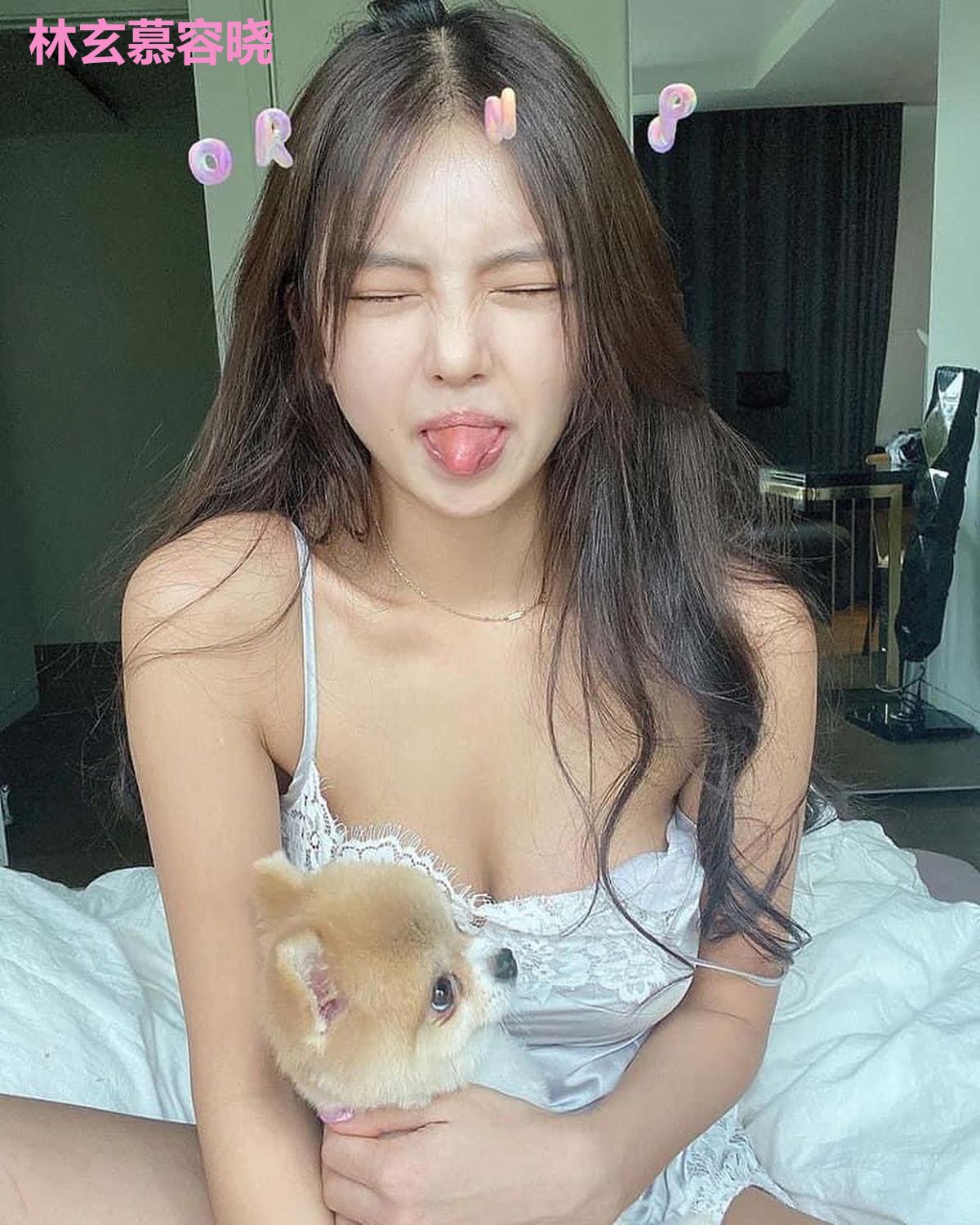 林玄慕容晓