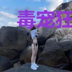 毒宠狂妃：暴君撩上瘾